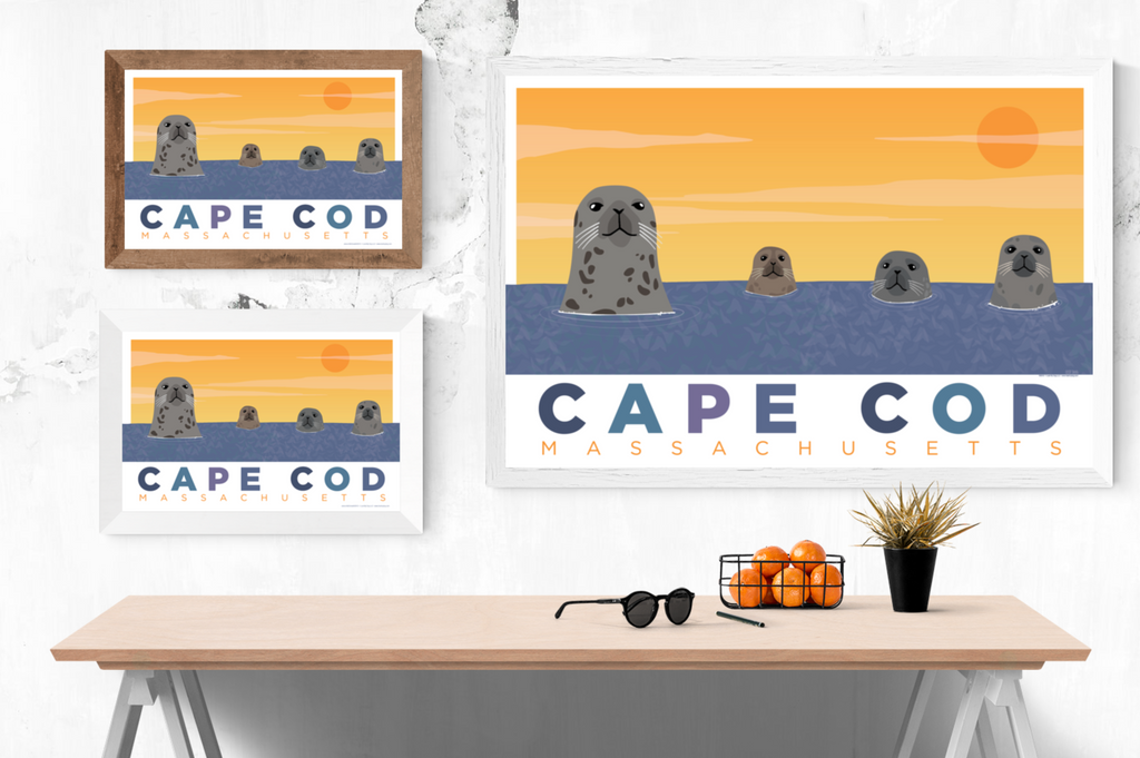 Seals of Cape Cod