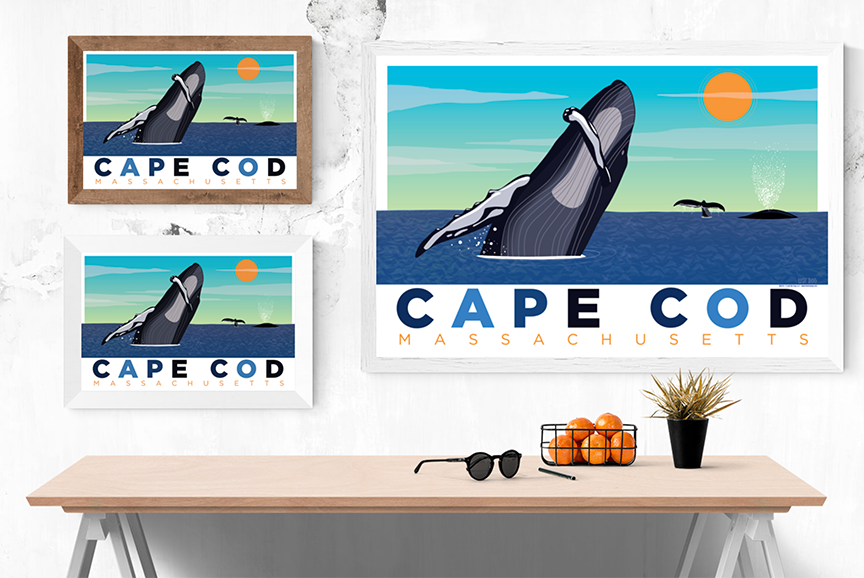 Whales of Cape Cod